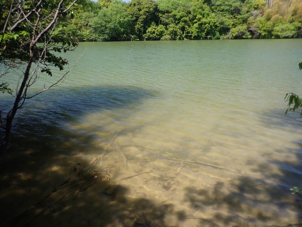 飛山池の写真