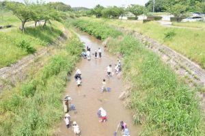 採取の方法