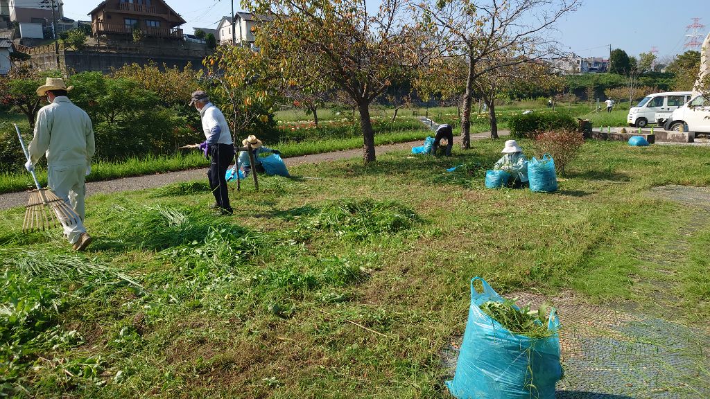 除草作業