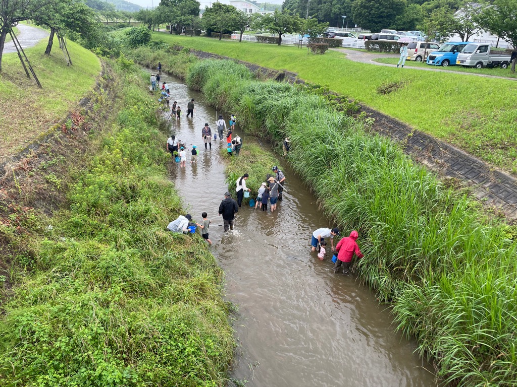 川の中で生き物を探している様子