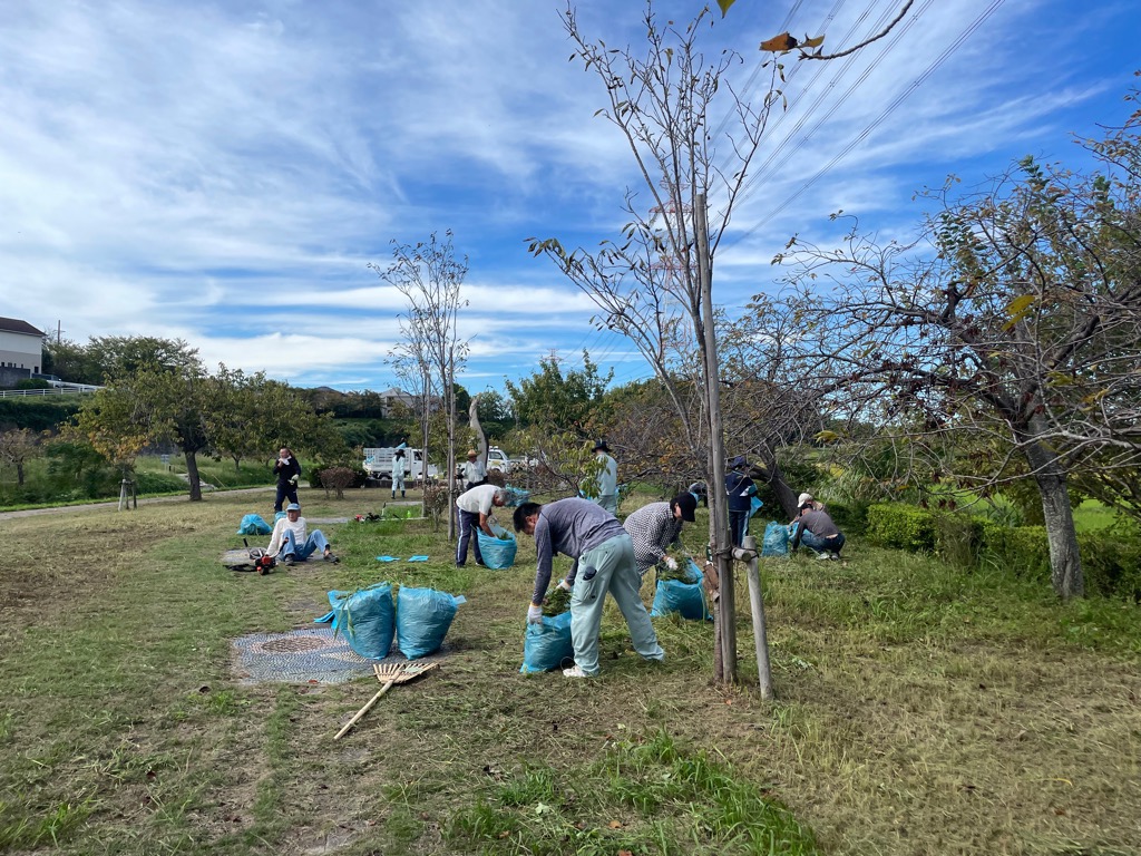 除草作業