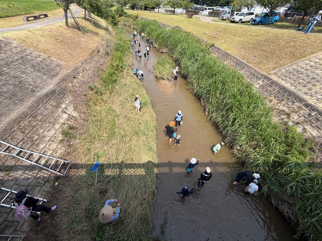 川の中で生き物を採取する様子