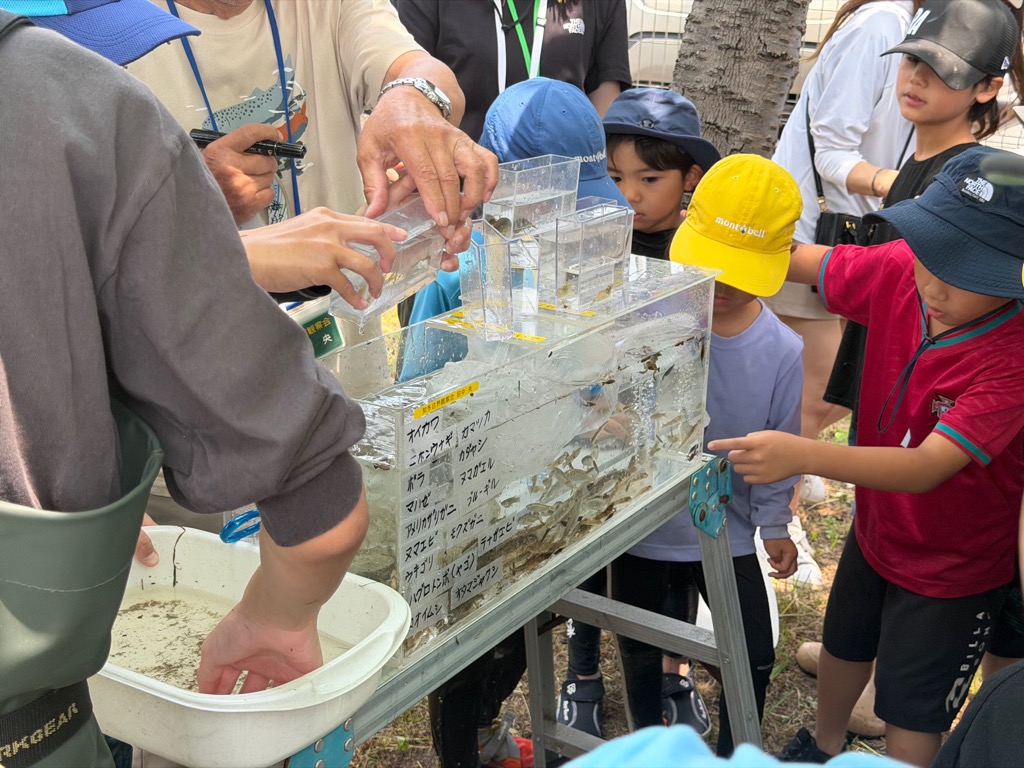 水槽の様子