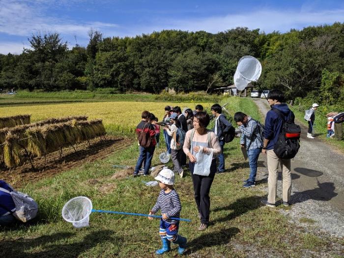 里山の秋を見つけよう