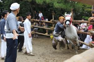 おまんと祭りの写真