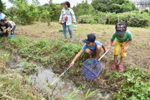 生き物採集をする子ども達
