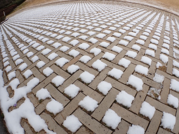 残雪の写真