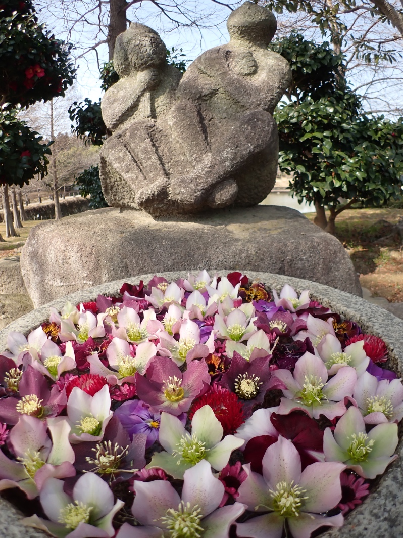 花の写真