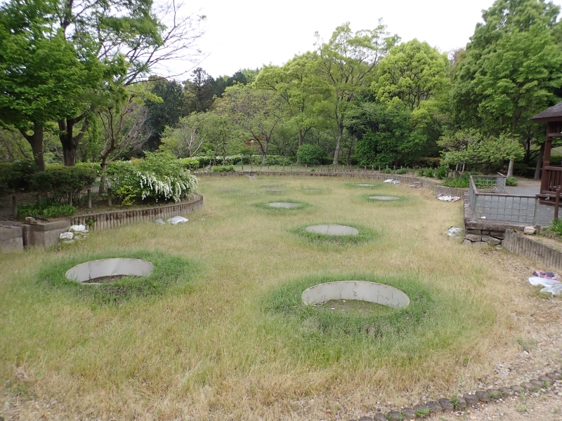 オニバスの池の写真