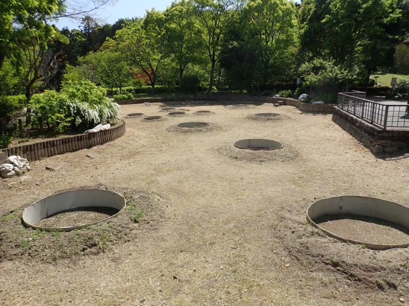 オニバス池草刈後の写真