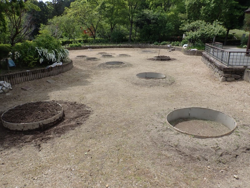 オニバス池の写真1枚目