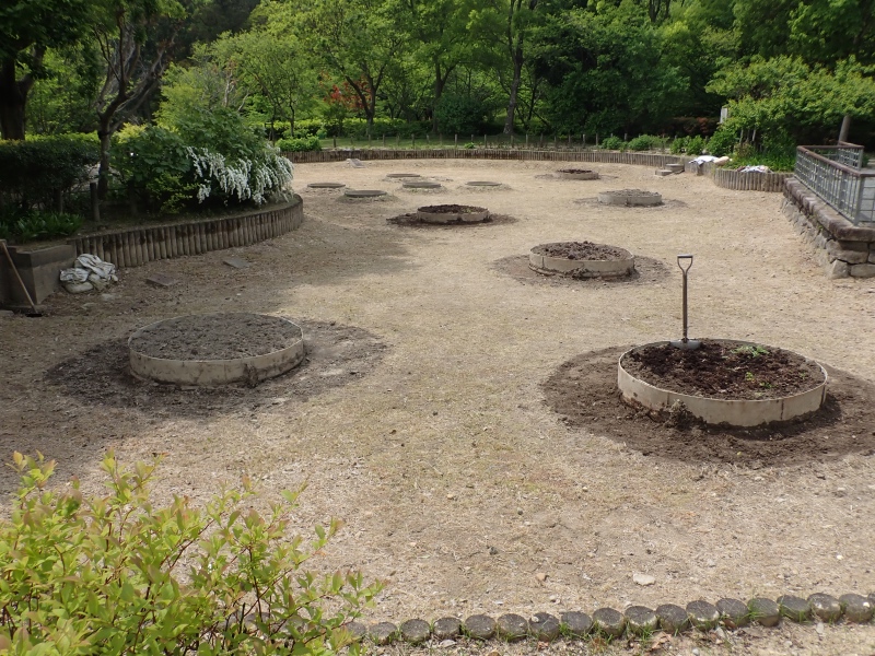 オニバス池の写真3枚目