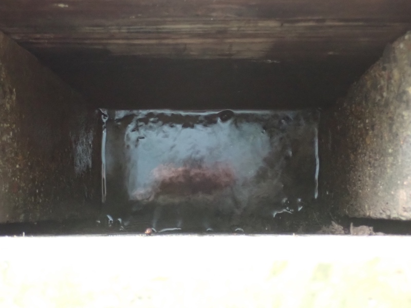 オニバス池の写真