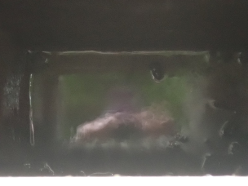 オニバス池の写真