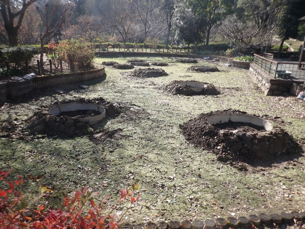 オニバス池の写真