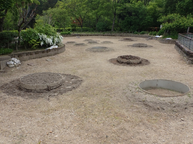 オニバス池の写真2枚目