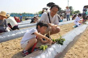 芋のつるさしに取り組む親子の写真