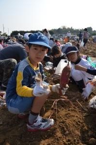 立派なサツマイモを掘った子どもたちの写真