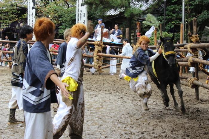 おまんと祭りの写真