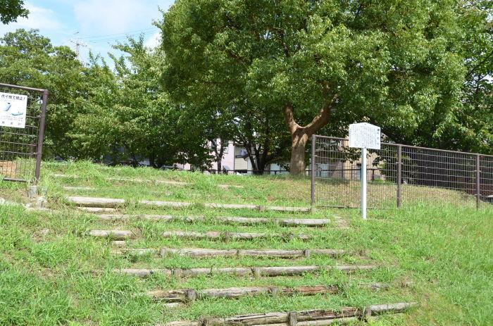 森岡新池公園の写真