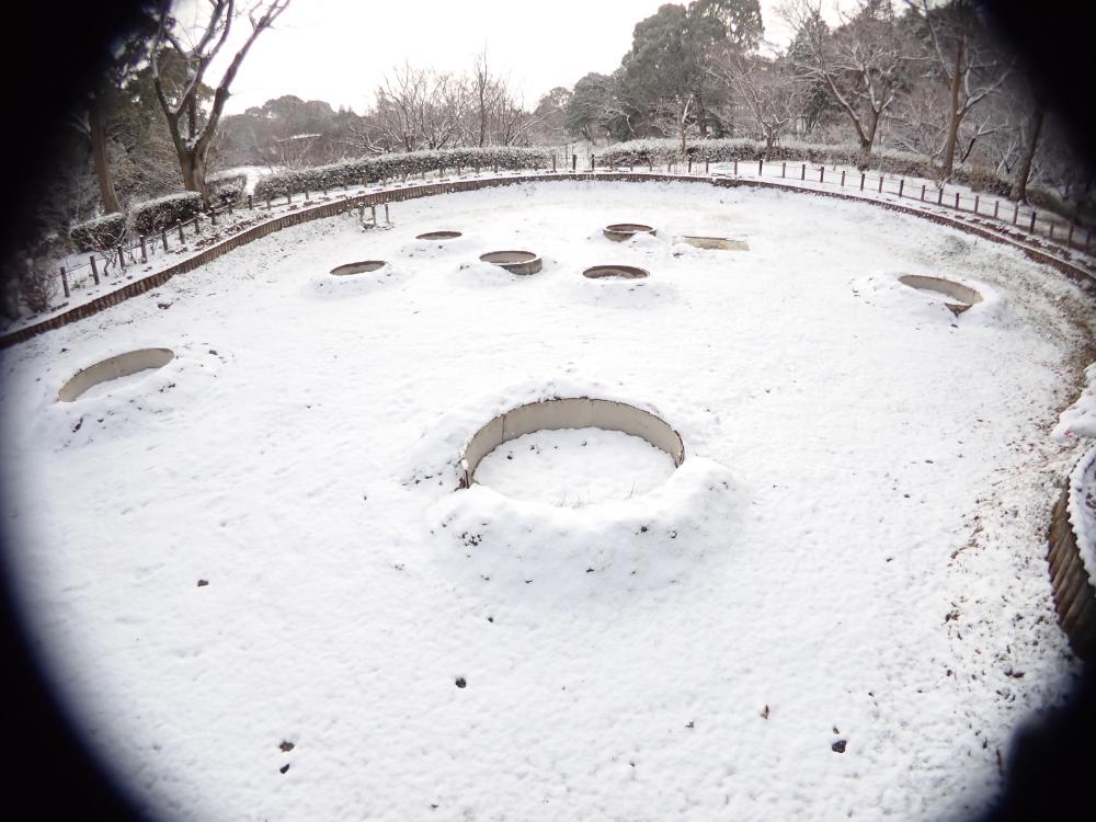 雪景色の写真
