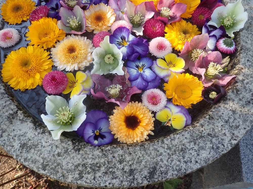 花の水盆の写真