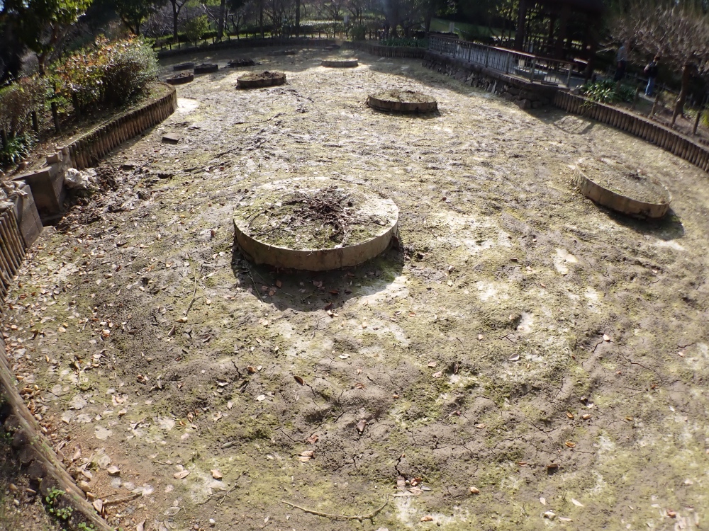 オニバス池の写真