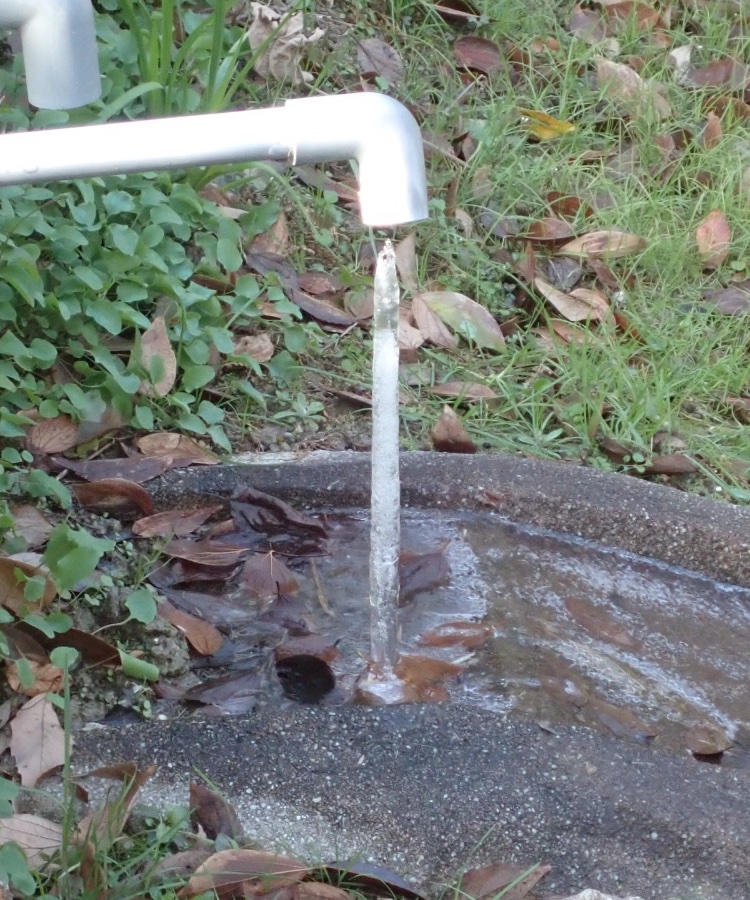 氷の柱の写真