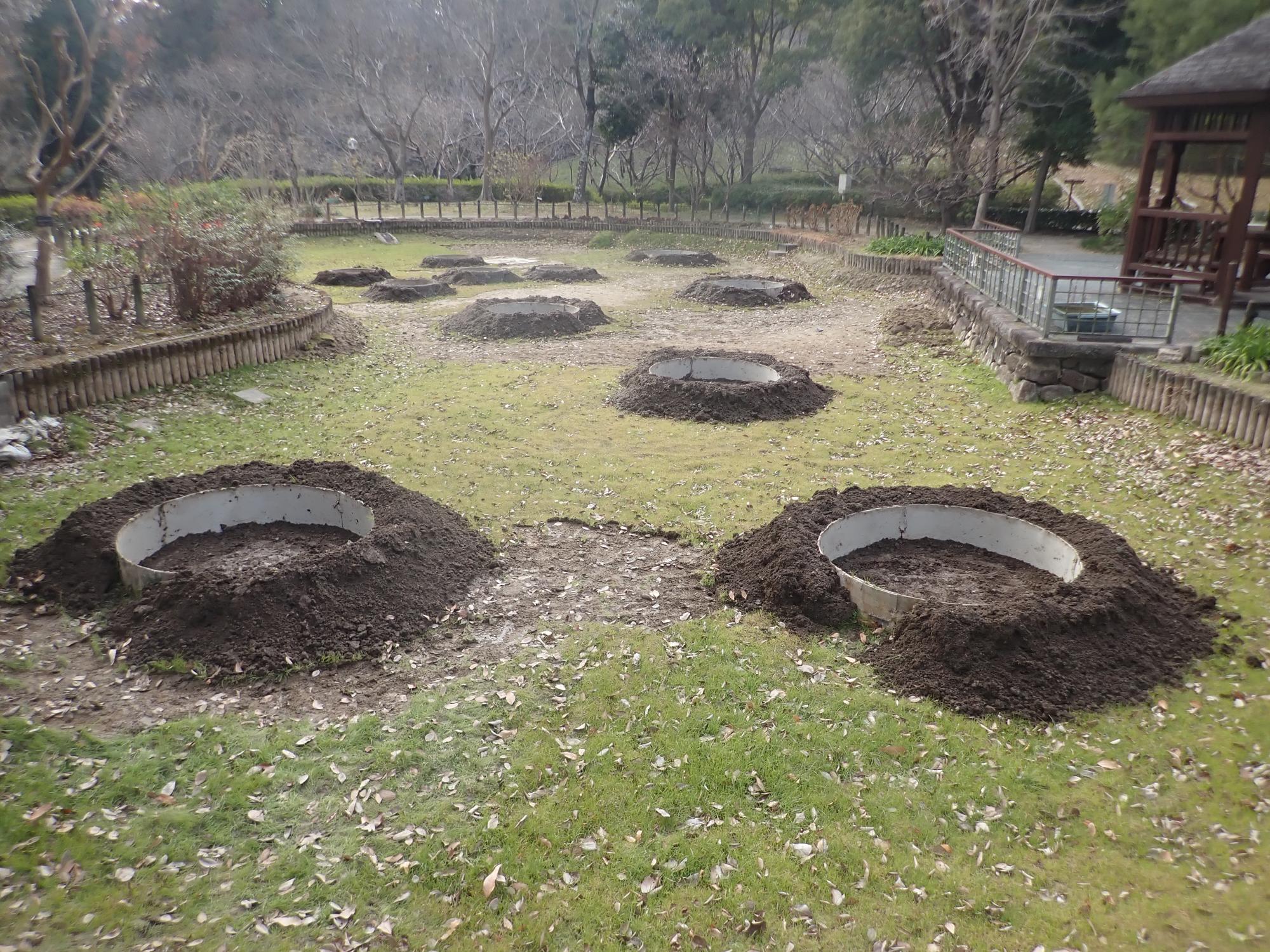 オニバス池の写真