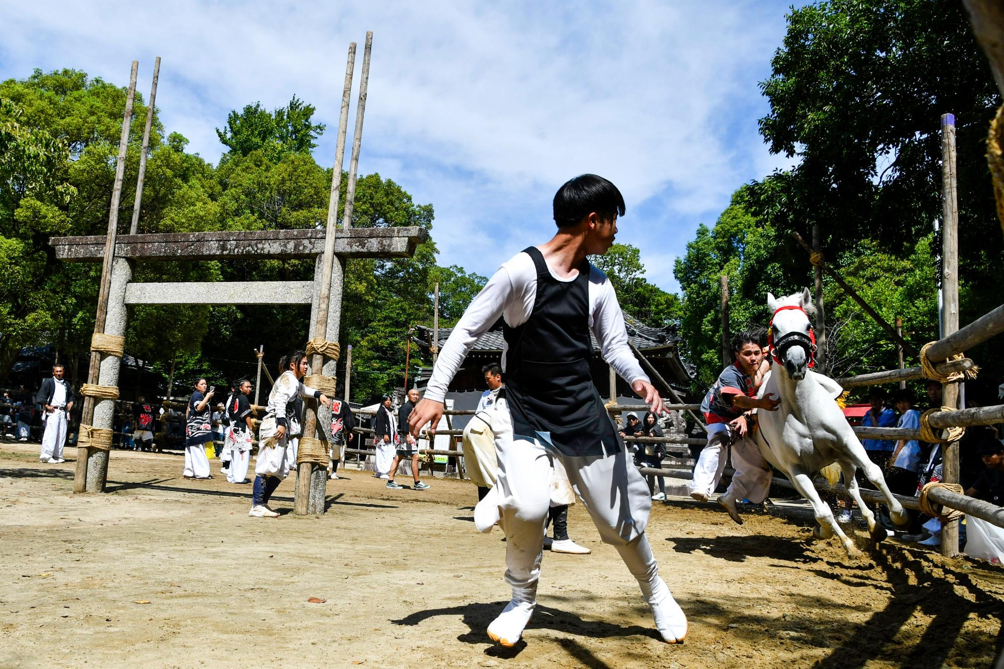 駆け馬に飛びつく若者