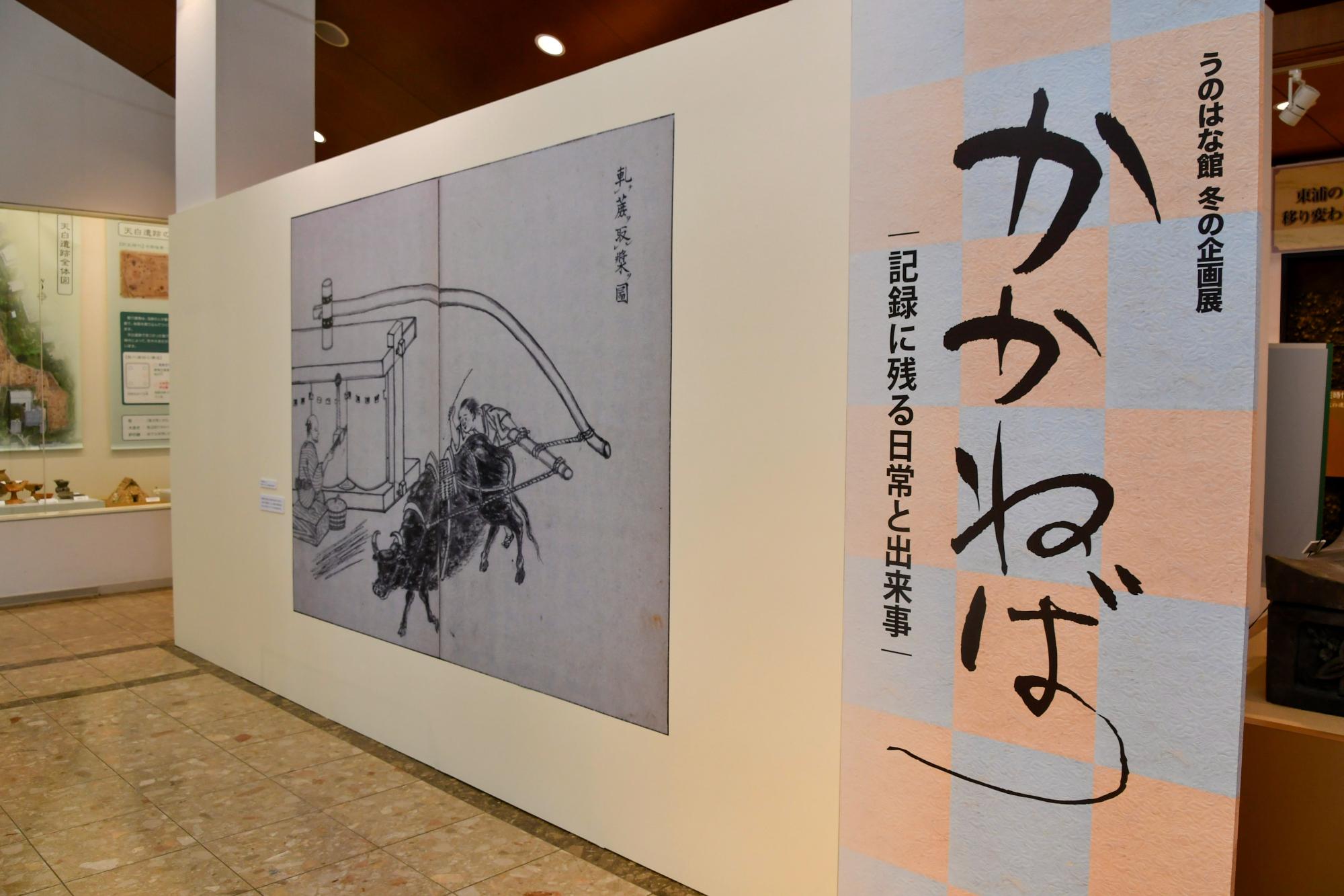 冬の企画展「かかねば」の展示
