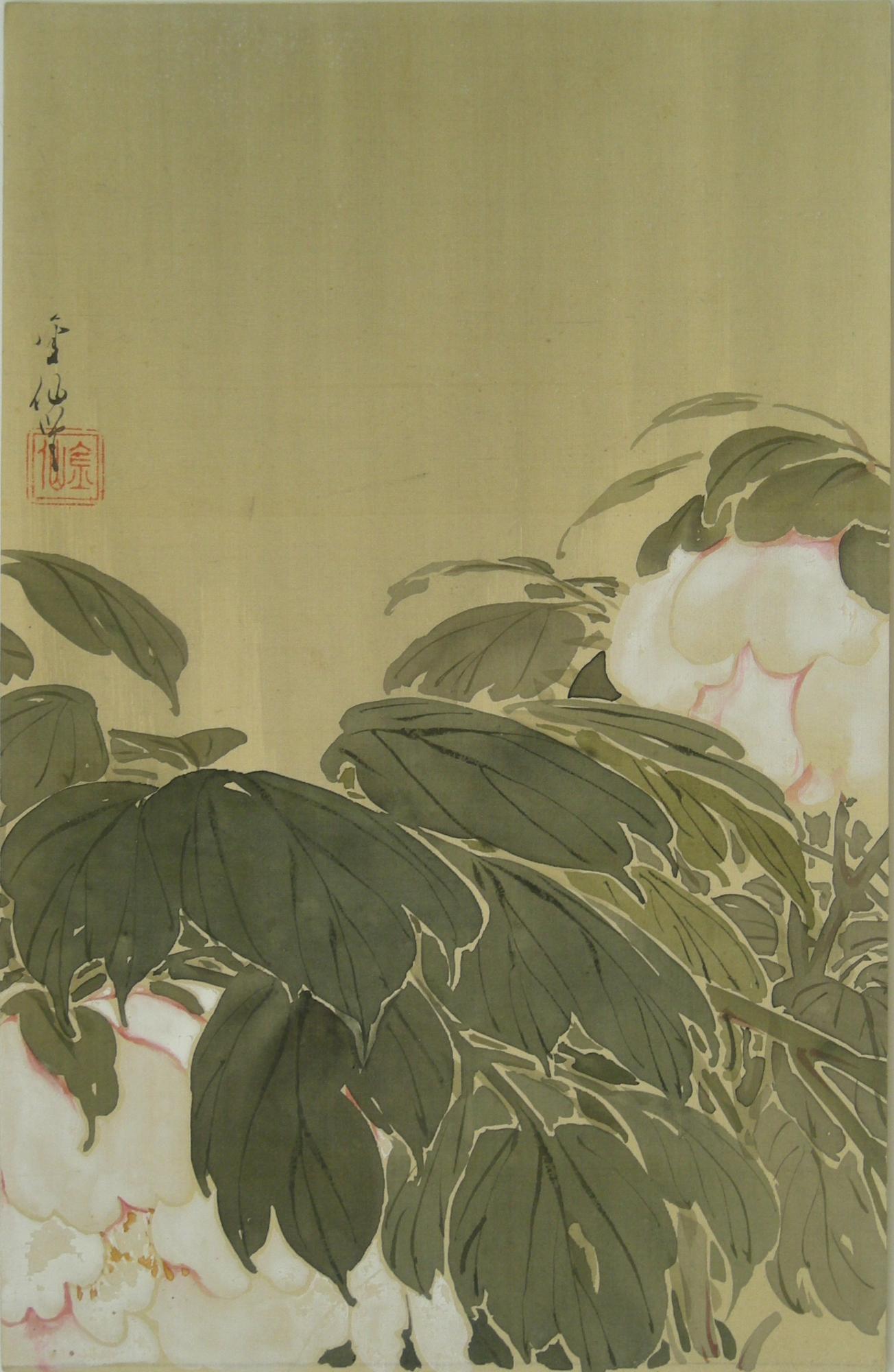 shokubutsuen_gazou_botanzu