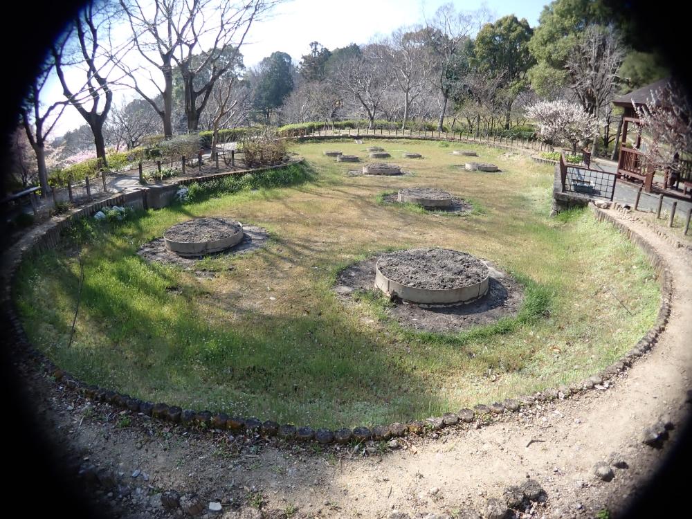 オニバス池の写真