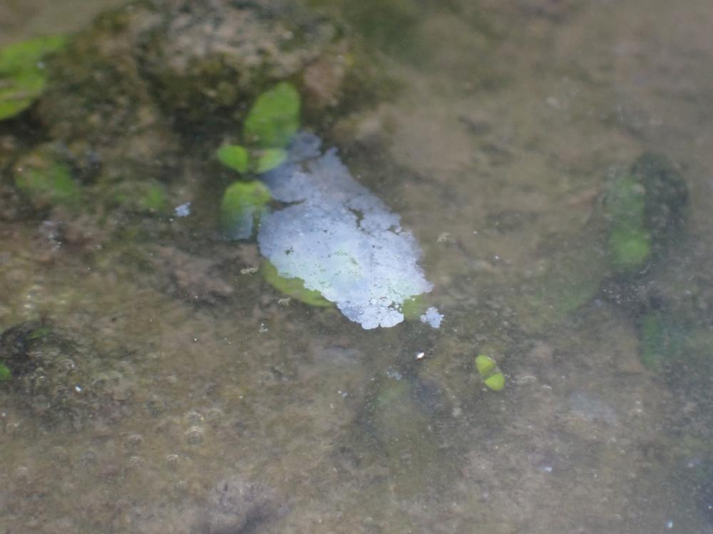 酸化鉄被膜の写真