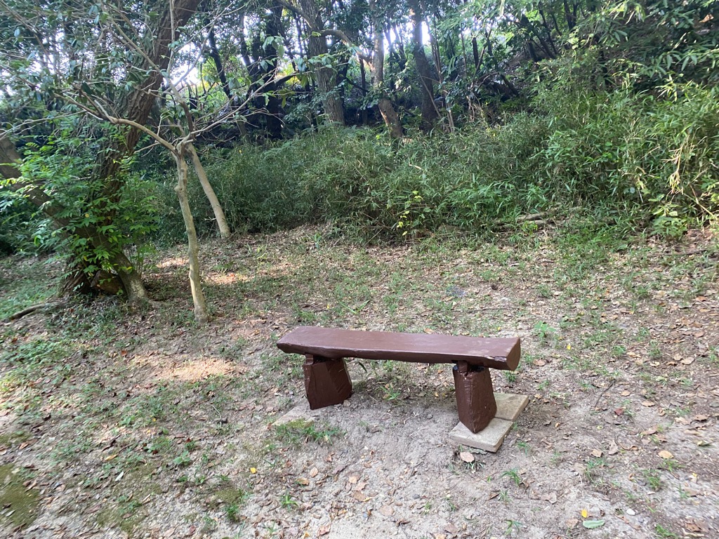 高根の森の木製ベンチ