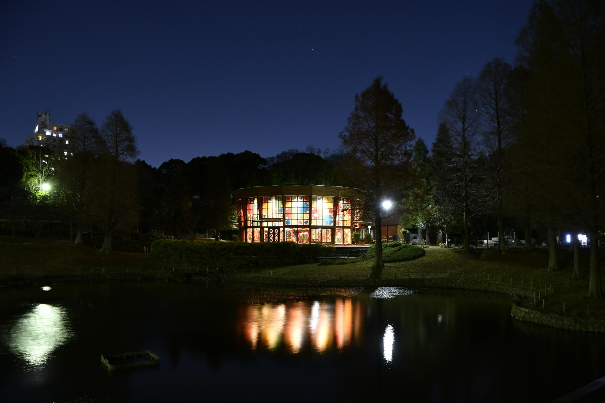 このはな彩ライトアップ