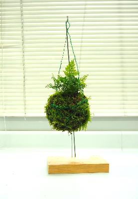 モスボール講座