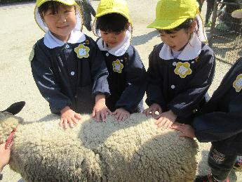 羊を触る子どもたち