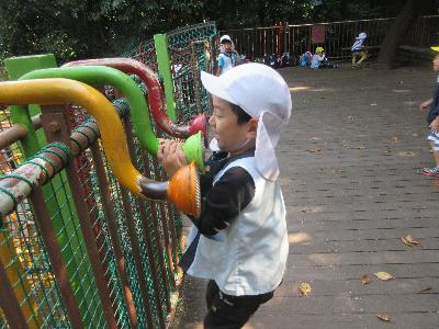 子どもの森で遊ぶ年長組