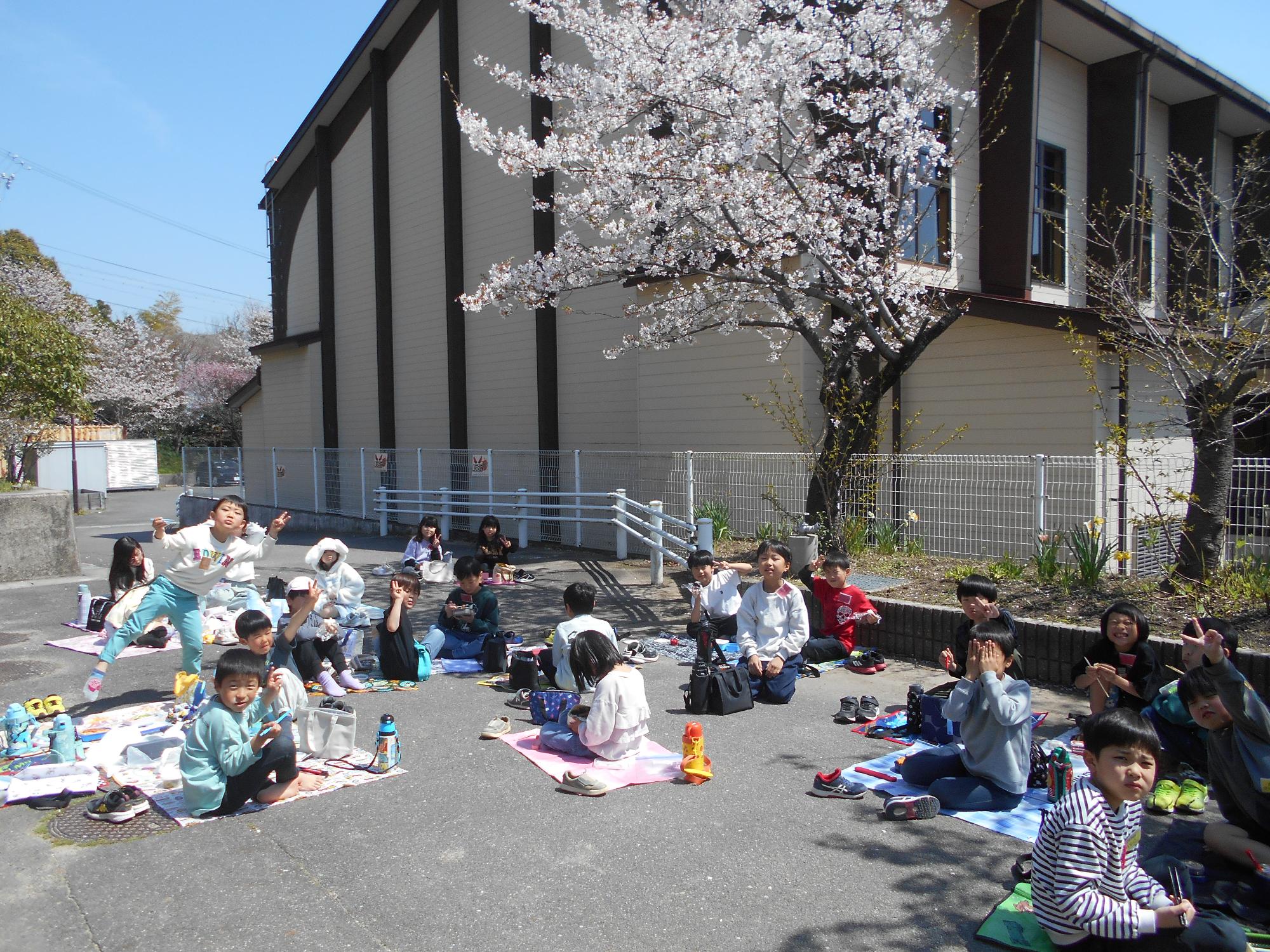 お花見をしながらお弁当2