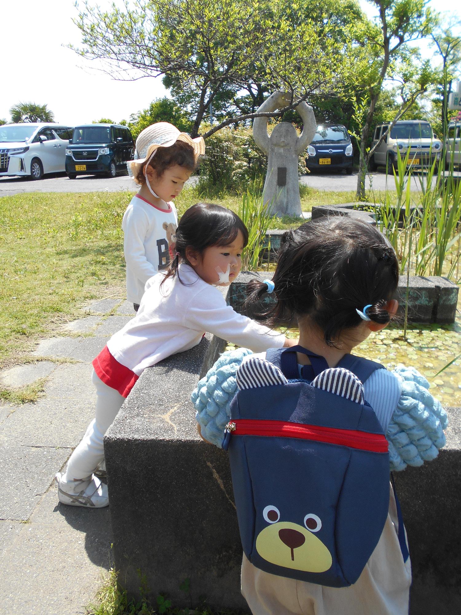 子どもたちが小学校のビオトープでカエルやめだかを探している。