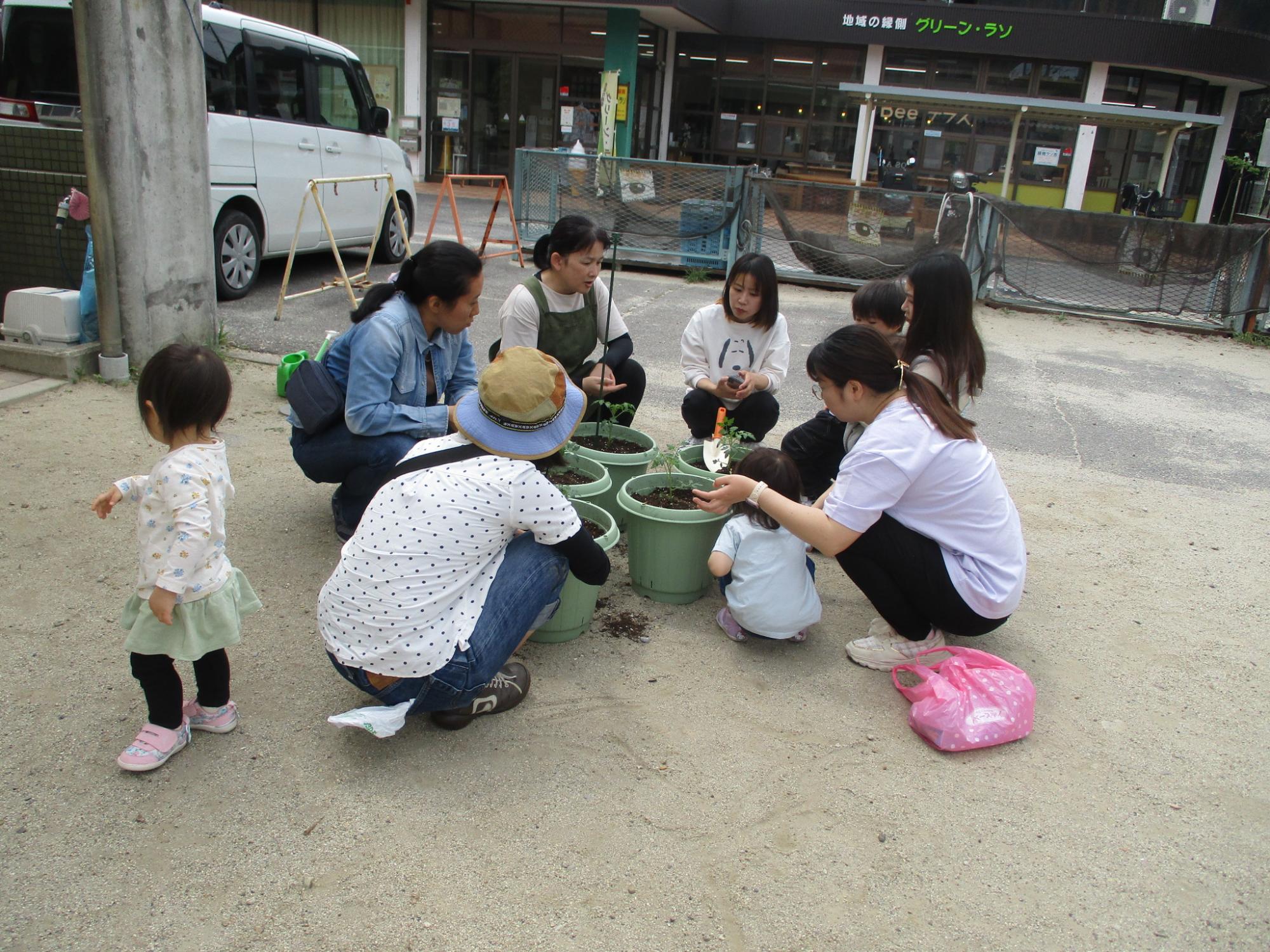緒川児童館 緒川わくわくランド トマト苗植え