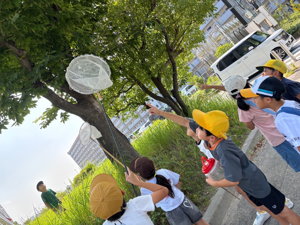 子どもたちがセミを見つけて指差ししていることろ