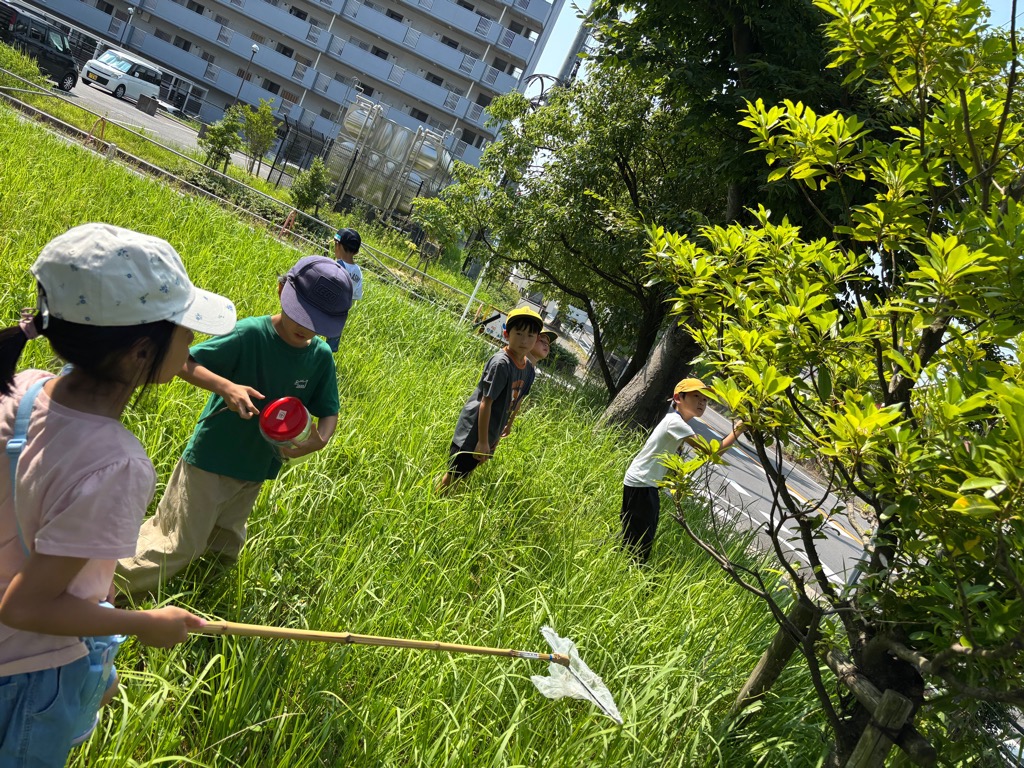 子どもたちがゼミ取りをしているところ