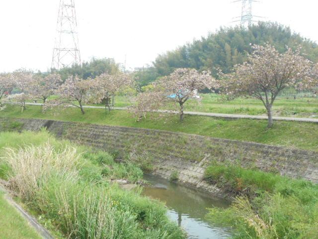 明徳寺川