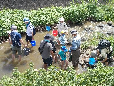 川に入って生き物を採取中