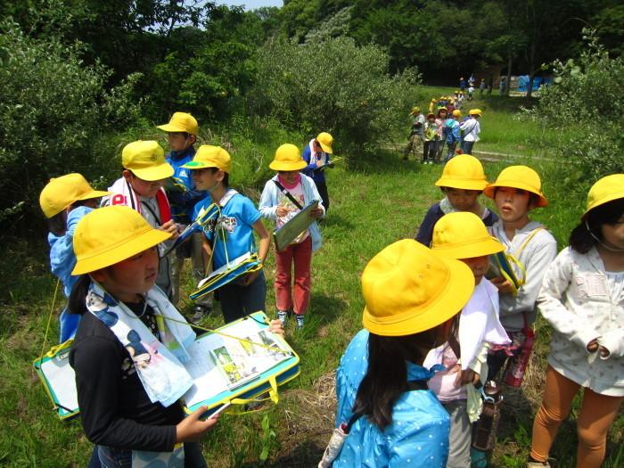 自然環境学習の森に訪れた児童の写真