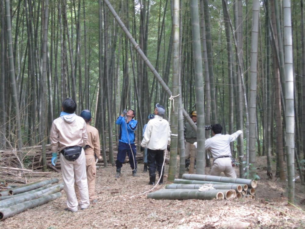 愛知製鋼株式会社による竹林整備活動の様子