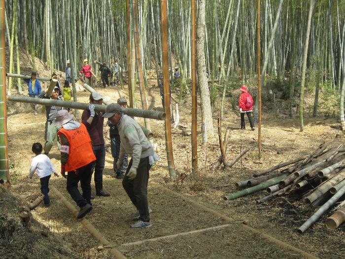 伐採竹の運搬2