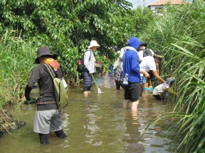 生き物採集の様子1